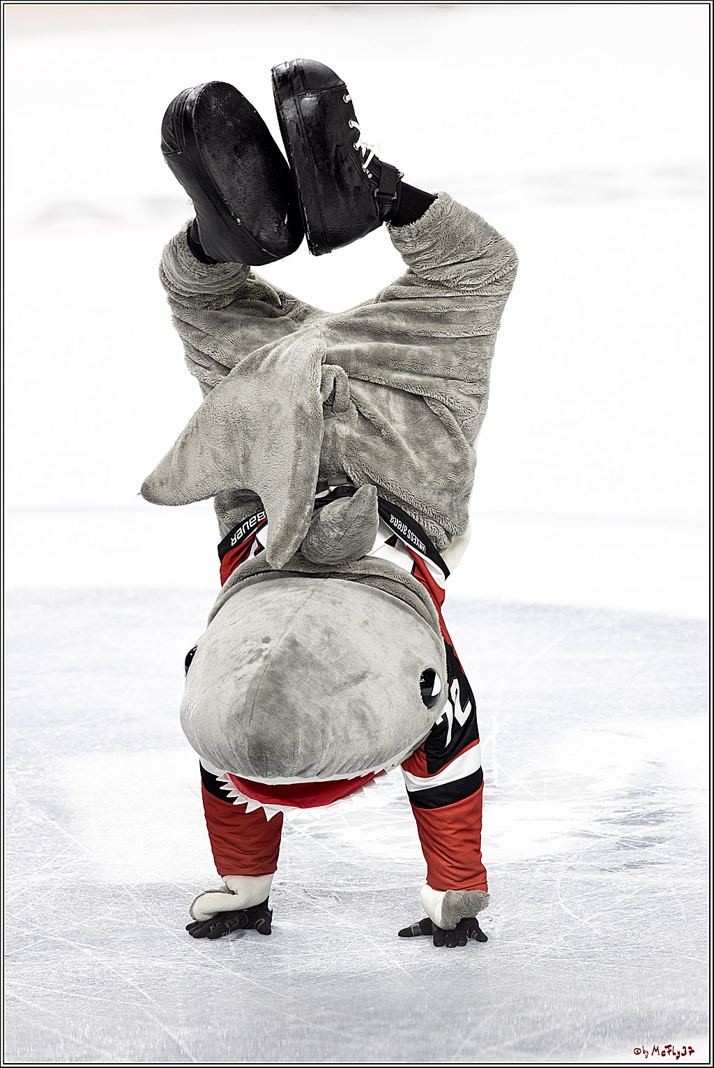 PENNY DEL;  Koelner Haie - Grizzlys Wolfsburg; Koeln, 10.09.2021